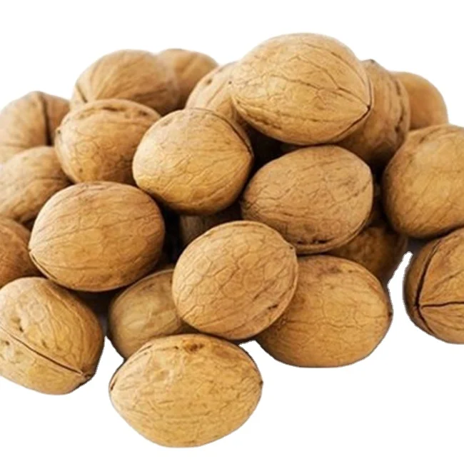 2024 Walnuts Best Seller Manufacturer Wholesale Premium Organic Walnuts in shell Turkey walnut kernel for sale