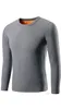 Golden Fleece Long Sleeved Light Gray