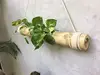 BAMBÚ