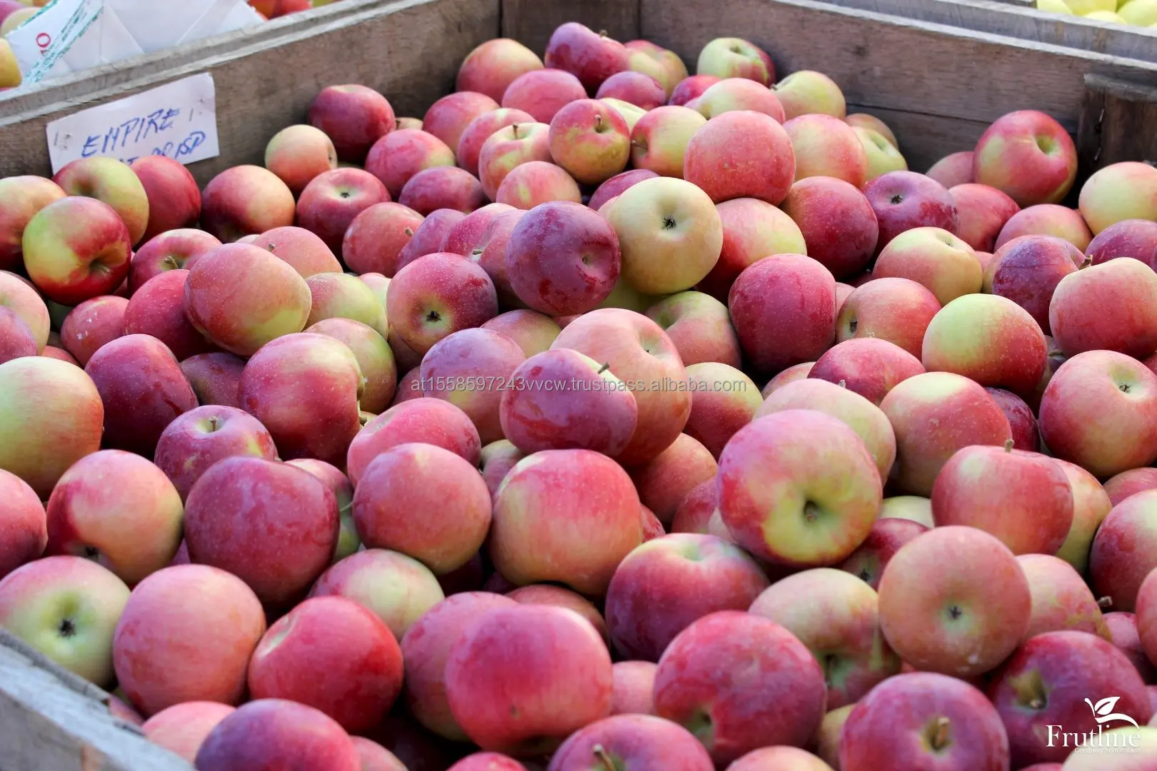 Empire apples 02.jpg