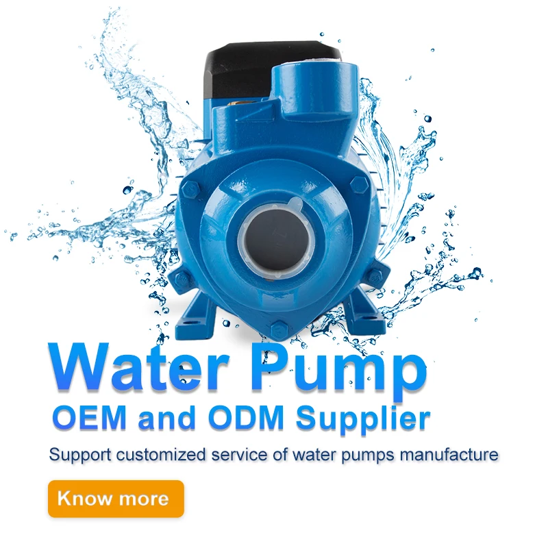 1.5 Hp 1 2 Irrigation Pumps V Malaysia Electric Aluminum 60 Centrifugal Solar 5hp ELESTAR  0.5hp vortex Pumps QB Qb60 Water Pump