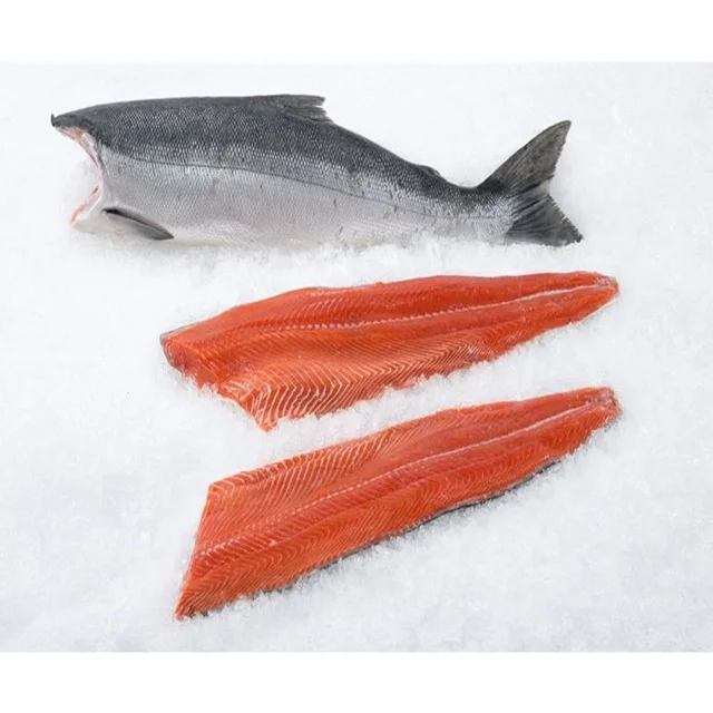 Frozen Atlantic Salmon Fish for Sale / Wholesale Price Quality Frozen Salmon Colar