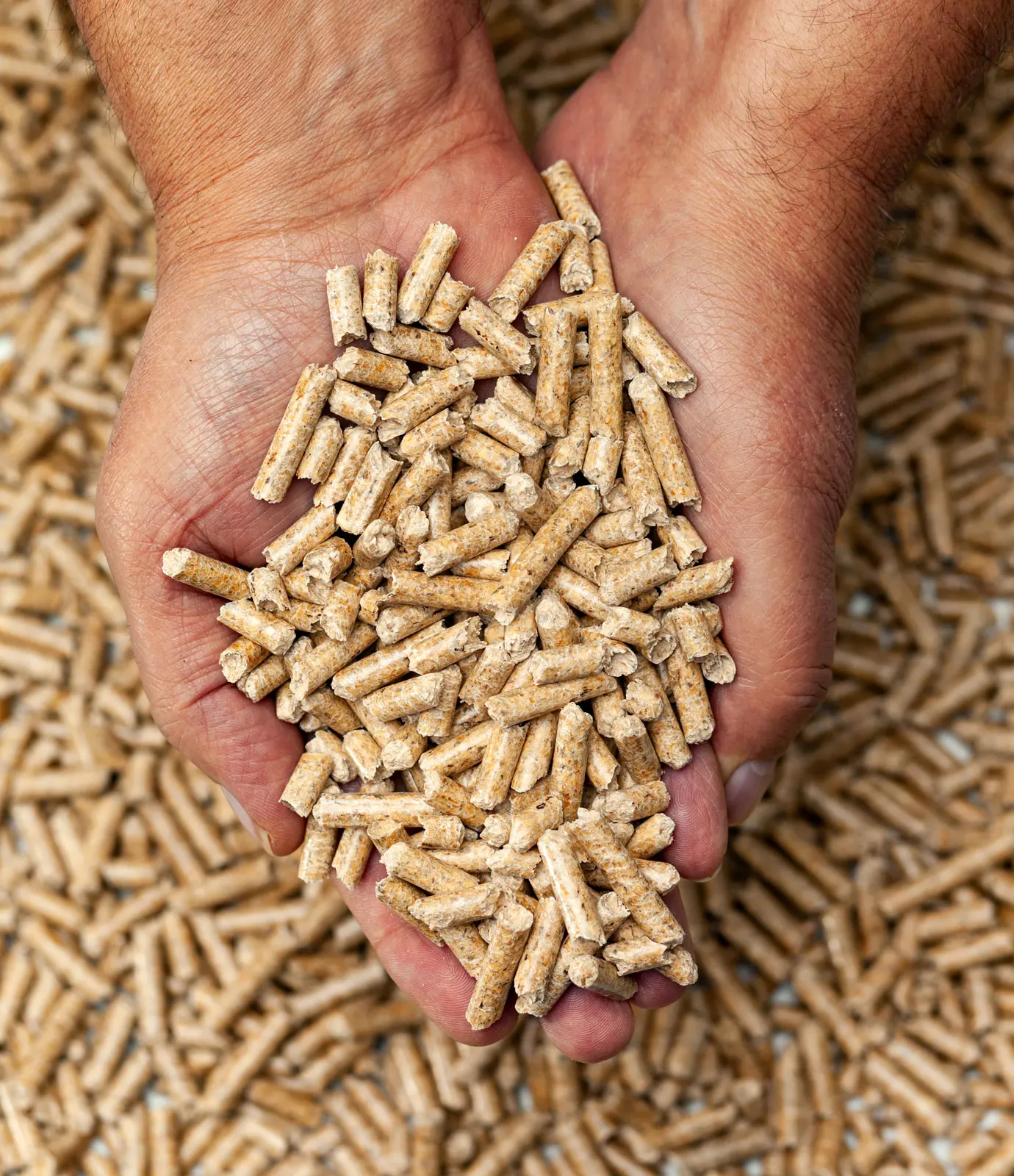 Source Premium Europe Quality Wood Pellet for sale cheap price on  m.alibaba.com