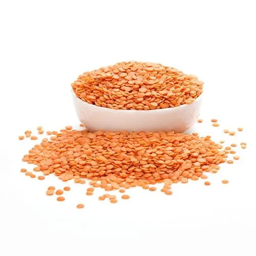 High Quality Bulk Dried whole split Lentils Red Lentils Green Lentils Cheap Price