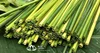 Natural Green