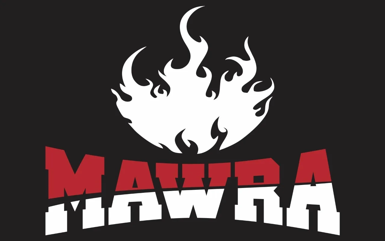 Company Overview - MAWRA MARTIAL ARTS