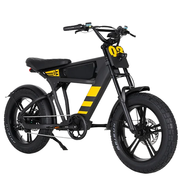 Mangosteen Student Ebike FT03 Best Bicycle College Students Central Rear Hub Motor Integrated Battery 60 km Range Electronic