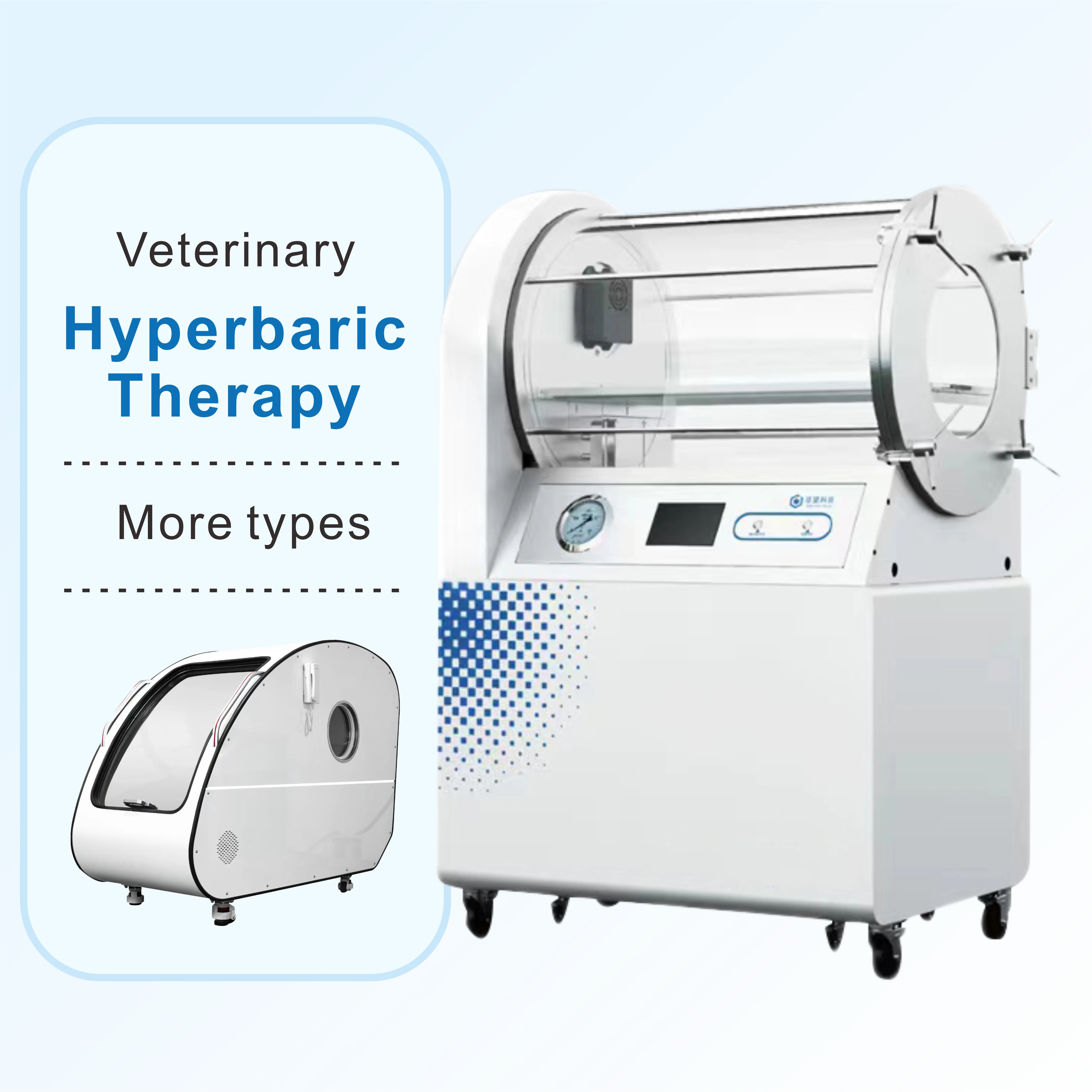 Dags Instrument Anatomical Veterinary Instrument for Dogs Aluminum Hypobaric Oxygen ...
