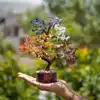 Comme une image