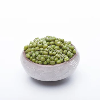 High Quality, Affordable Plump Mung Beans Wholesale Stock