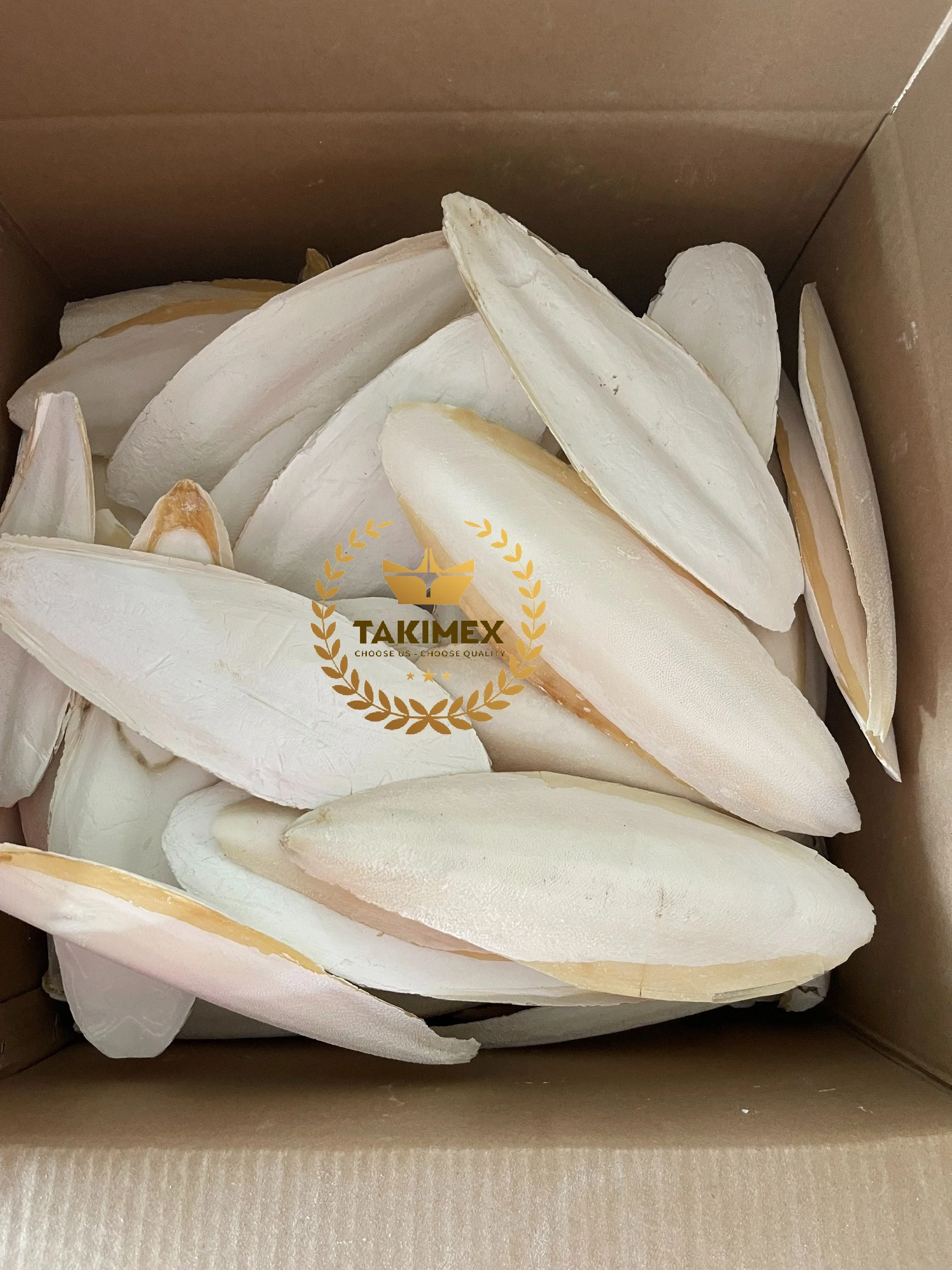 Very High Quality Dried Cuttlefish Bone/ Cuttle Bone/ Sepia Bone