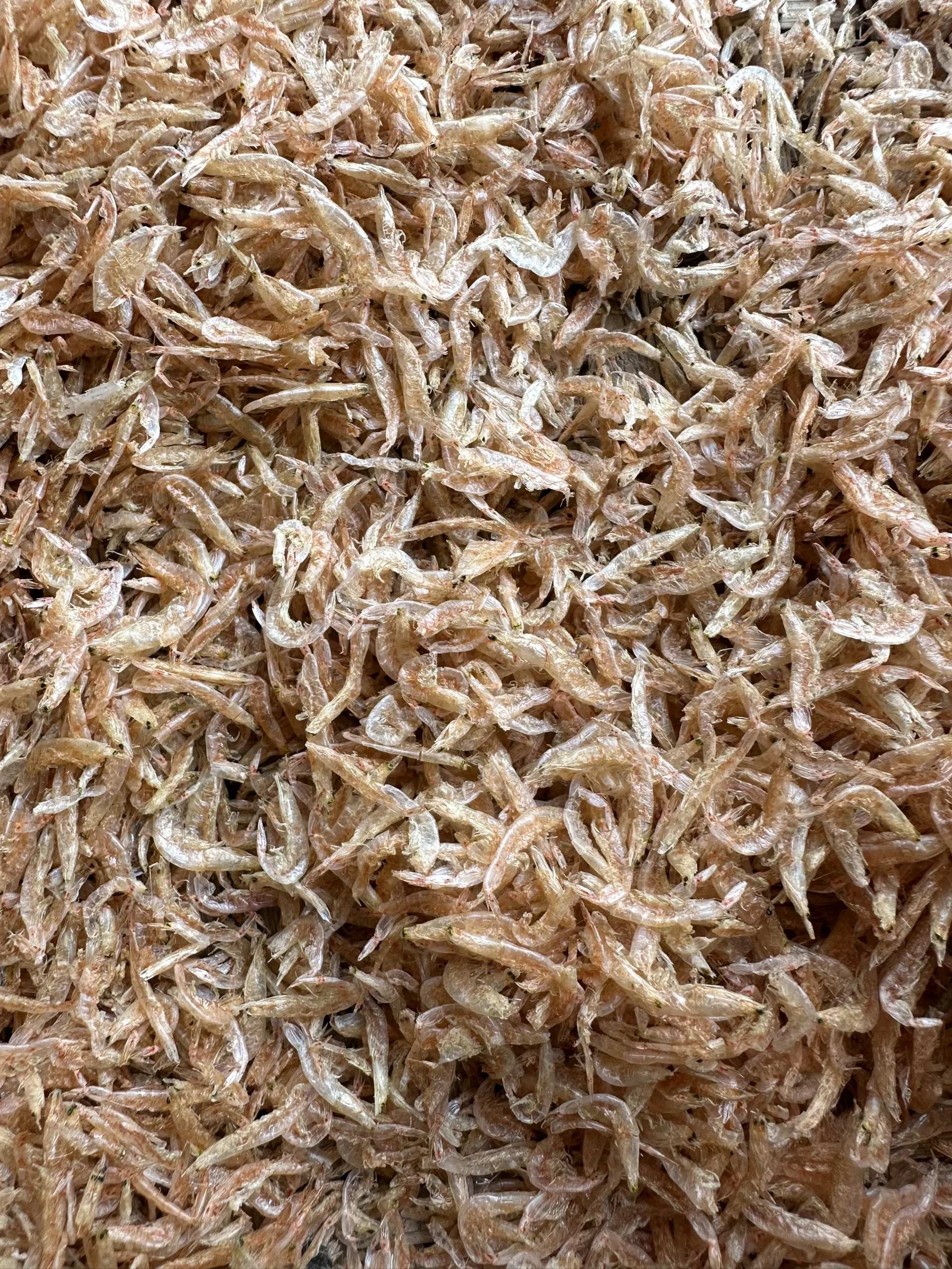 High Calcium Nature Source From Dried Baby Shrimp For Your Dog Cat