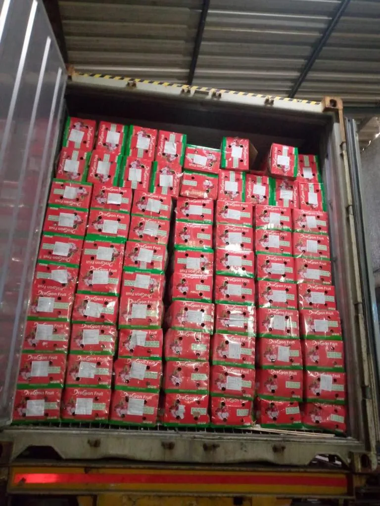 Sweet Taste Fresh Dragon Fruit From Vietnam With Standard Quality And