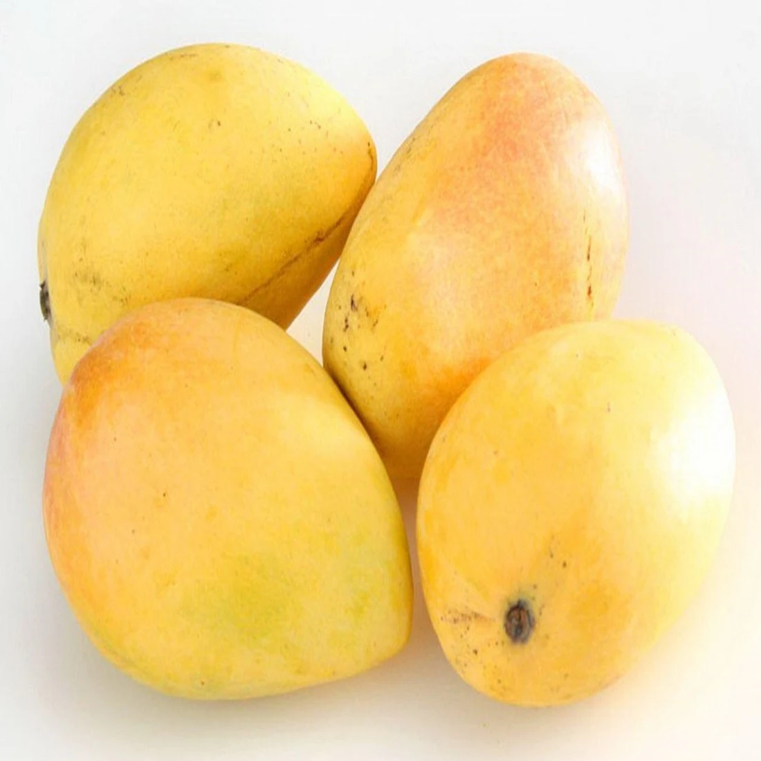 World Best Pakistani Mangoes Pakistan Made Fresh Fruits 2024 High