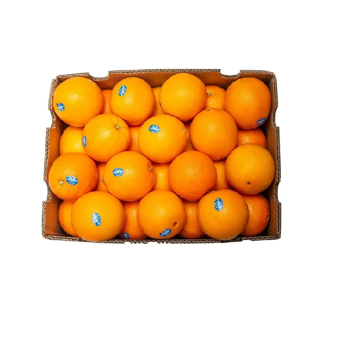 Bulk Price Quality Fresh Juicy Mandarin Oranges For Wholesale Price