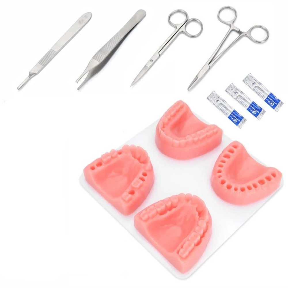 High Quality Dental Suture Practice Pad For Dentistry Training Oral