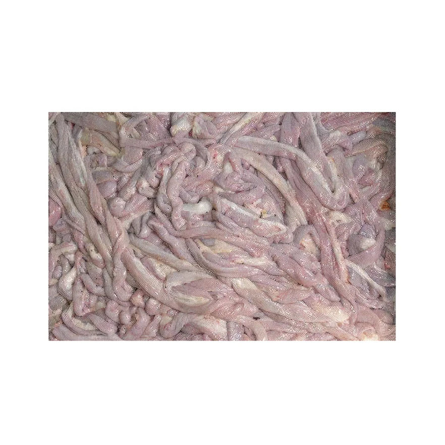 Wholesale Frozen Pork Small Intestines Cleaned Pork Stomach Intestines