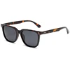 C2: Tortuga/ Humo