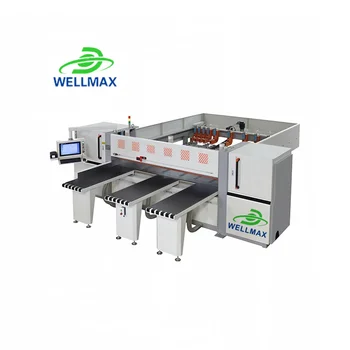 Wellmax CNC Wood Board Cutting Machine Sliding Table Saw for Wood Computer Beam Saw for Door Making
