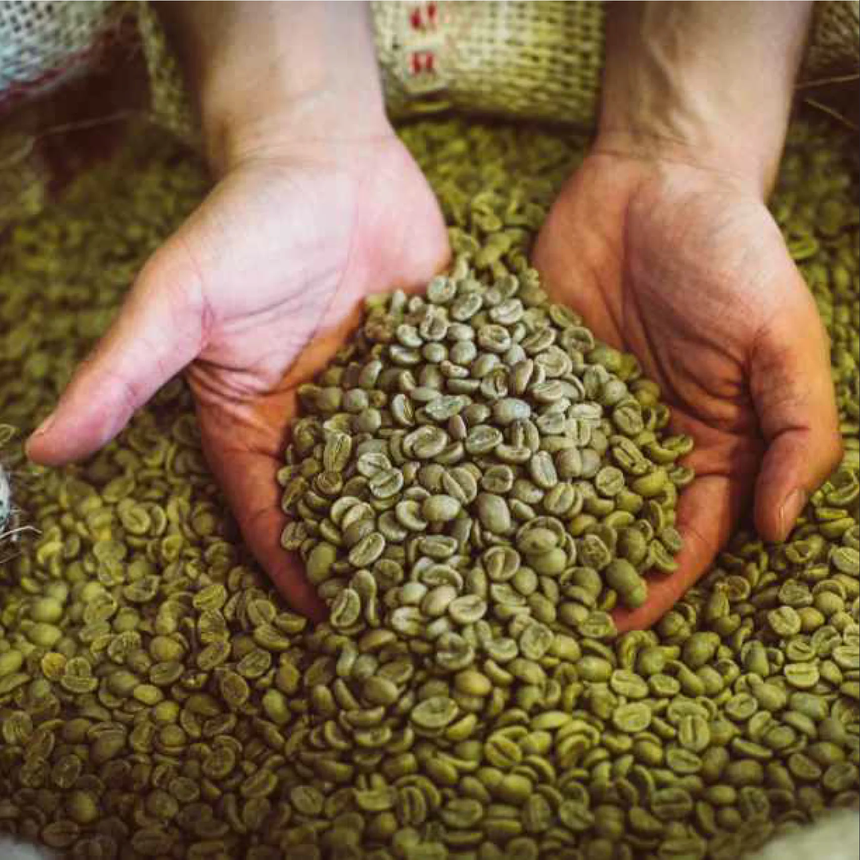 Factory Price Food And Beverage Italy Nespresso Capsules Tasting Kit