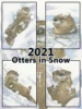 2021 นากในหิมะ