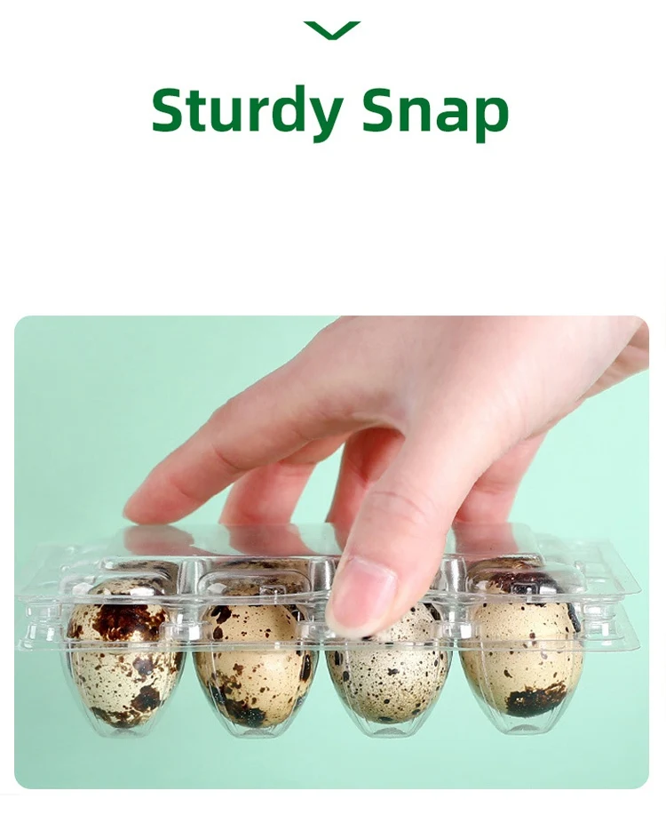 Disposable Quail Egg Trays 6/12/24/30 Cells Clear Pet Plastic Eggs