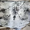 Black Spotted on White