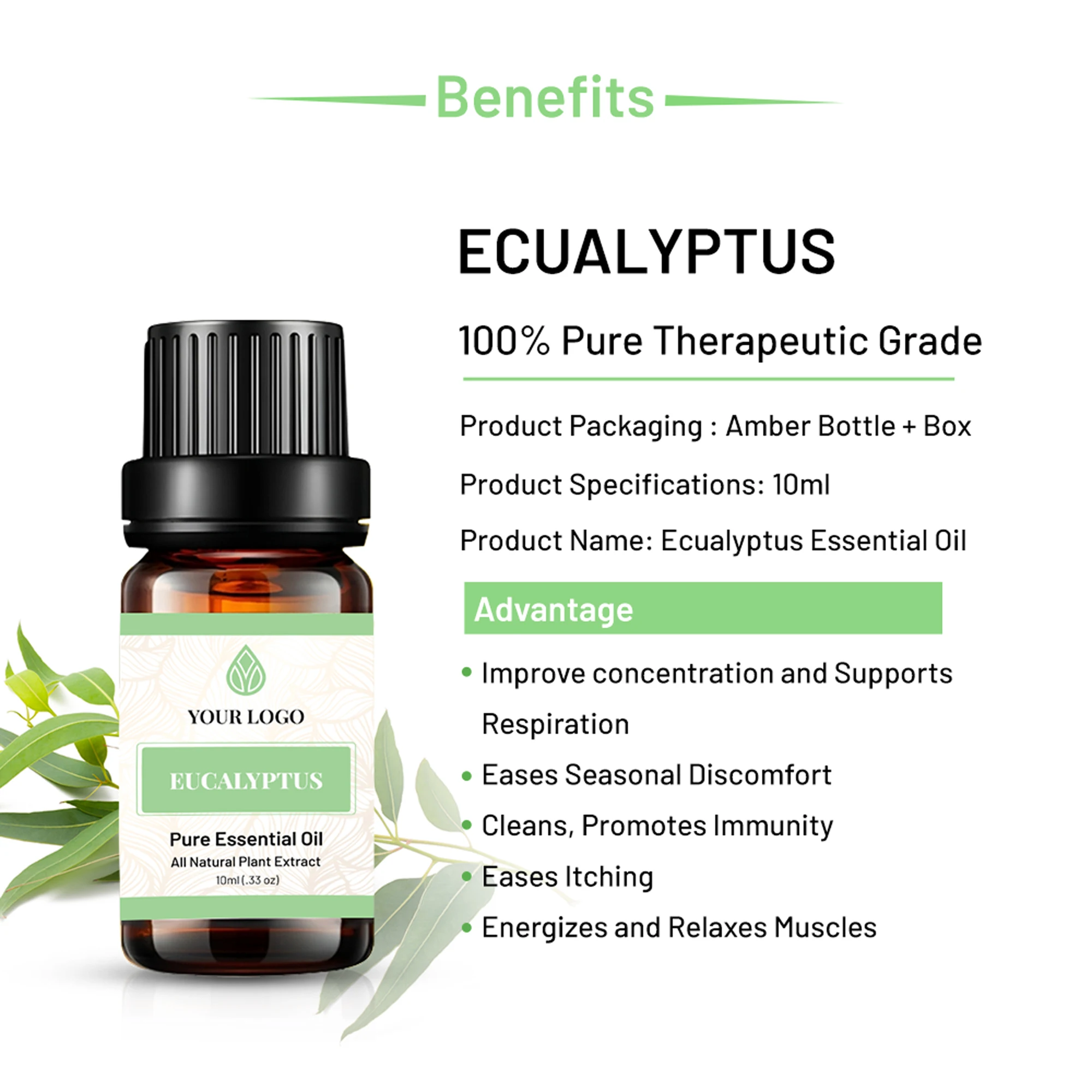 Pure Natural Cold Pressed Therapeutic Grade Eucalyptus Essential Oils