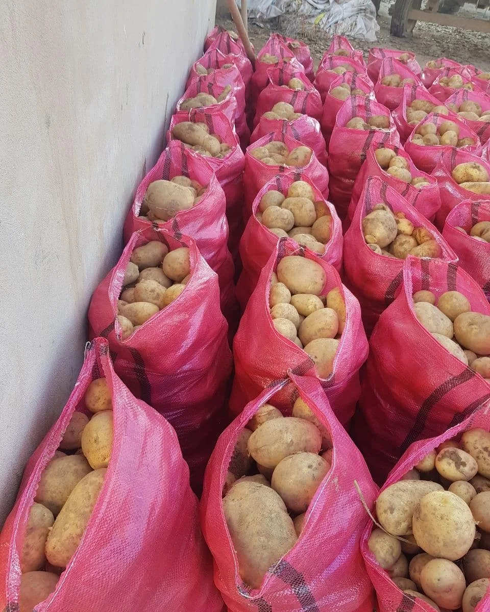 Свежий тайский картофель свежий ирландский французский