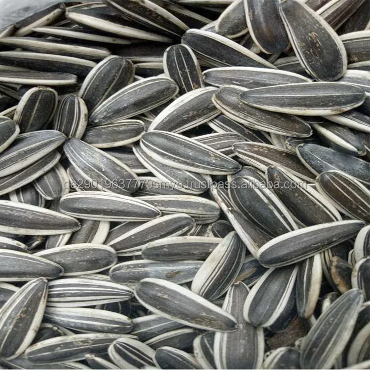 sunflower seeds 6.jpg