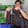 Wavy Weft