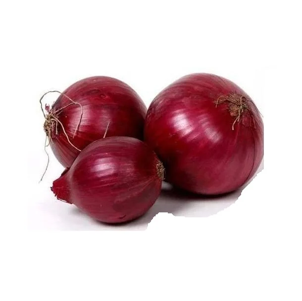 Fresh Yellow And Red Onion Best Quality Best Prices Buy Market Price