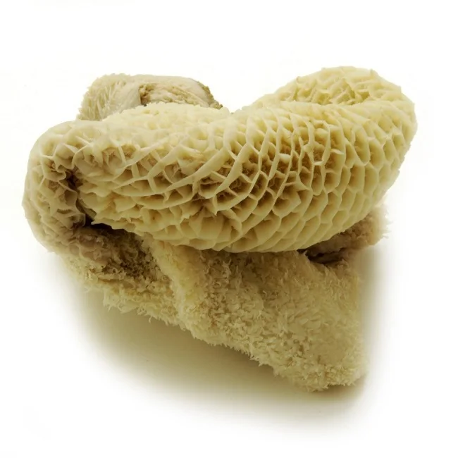 Organic Salty Beef Omasum Scalded Omasum and Beef Tripe Salted & Dried Frozen Beef Omasum