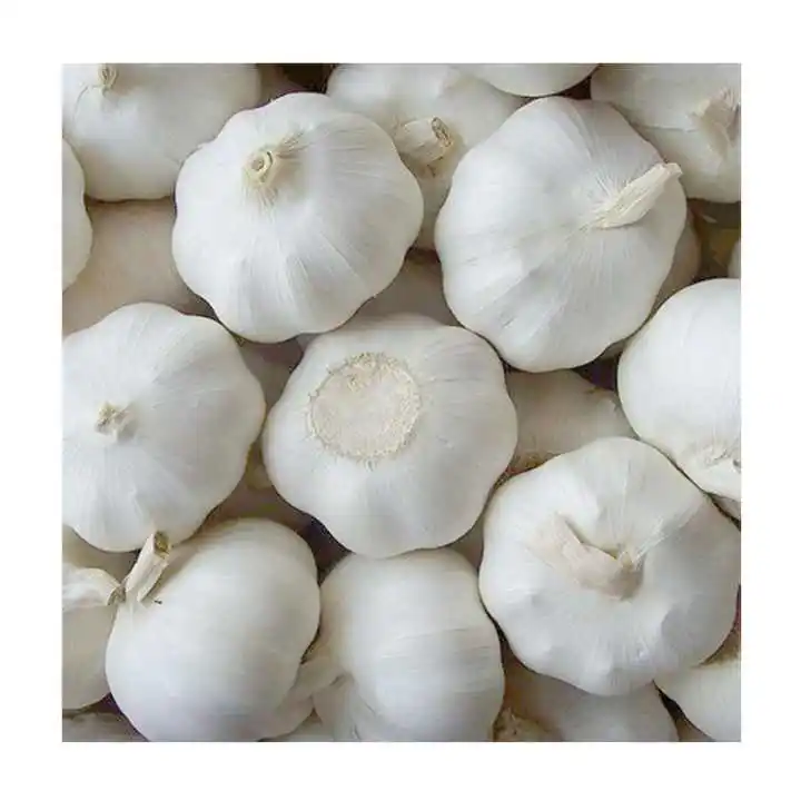 Fresh Garlic From Austria Normal White Pure White For Wholesale Private ...