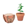 Legno
