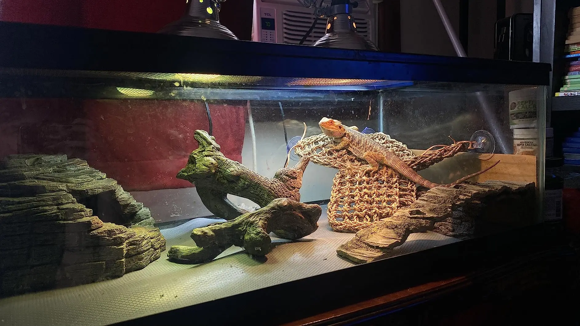 Hot Trend Lizard Lounger Corner Triangle With Ladder Reptile Hammock