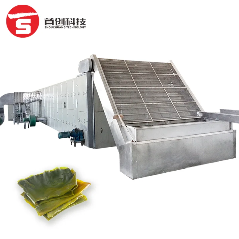 Automatic Stainless Steel Sea Vegetable Mesh Belt Dryer Pump High Efficiency Low Consumption Food Processing Seaweed Drying