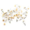 Crystal Quartz