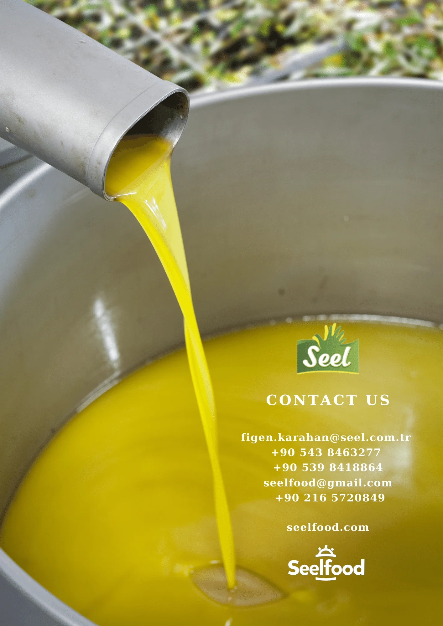 Лучшее качество высокое от холодного отжима Анатолии оливковое масло первого 18 л олова из Эгейского региона индейки