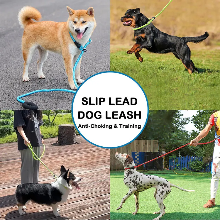 Wholesale Slip Rope Dog Leash Customized Reflective Dog Leash Durable