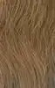 Honey Color