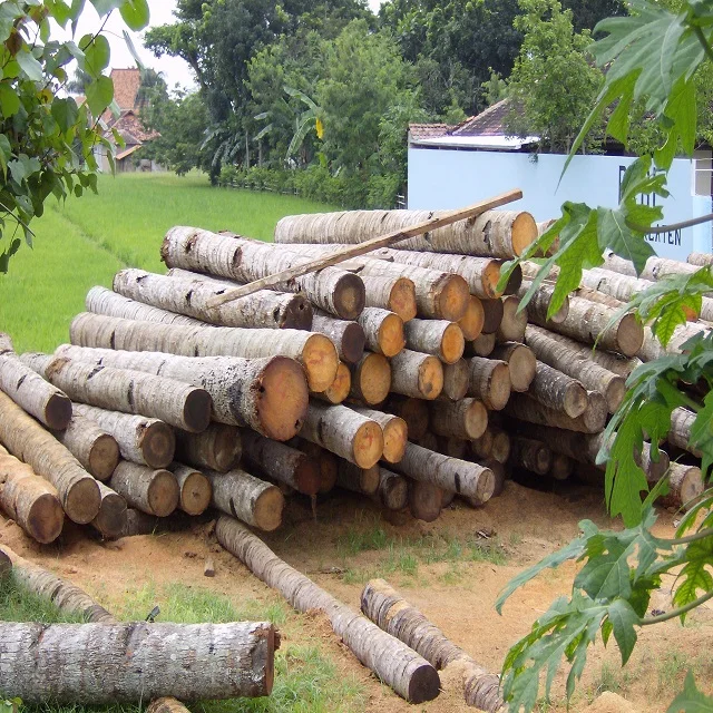 High Quality Teak Timber Logs Teak Timber Timber Logs Wood Buy Logs