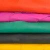 สีสันสดใส