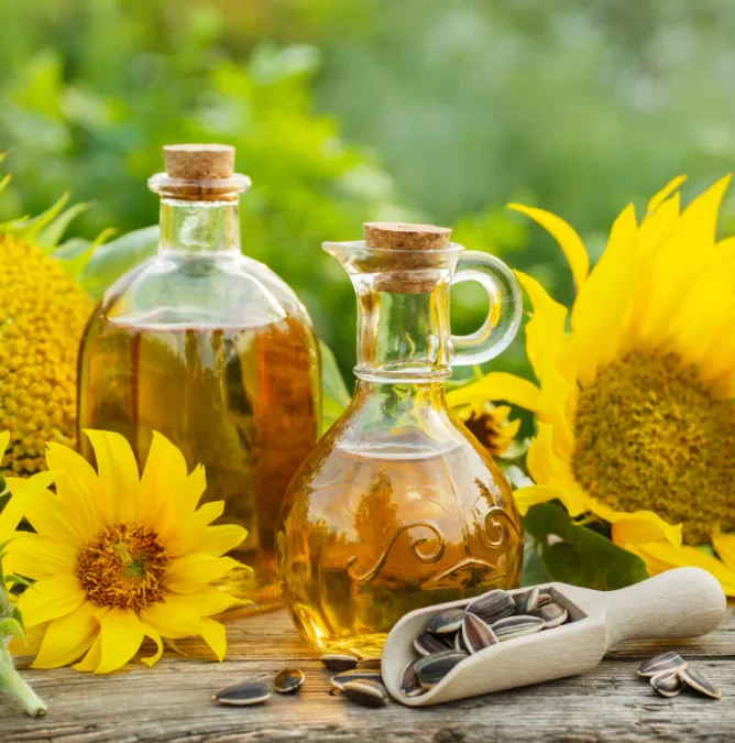High Quality Cooking Sunflower in Stock, Organic Refined Sunflower Oil Bulk, Very Good Quality Refined Sunflower Oil
