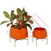 Antique Orange