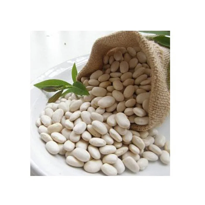 100 Organic Natural Agriculture Product Large White Kidney Beans Raw