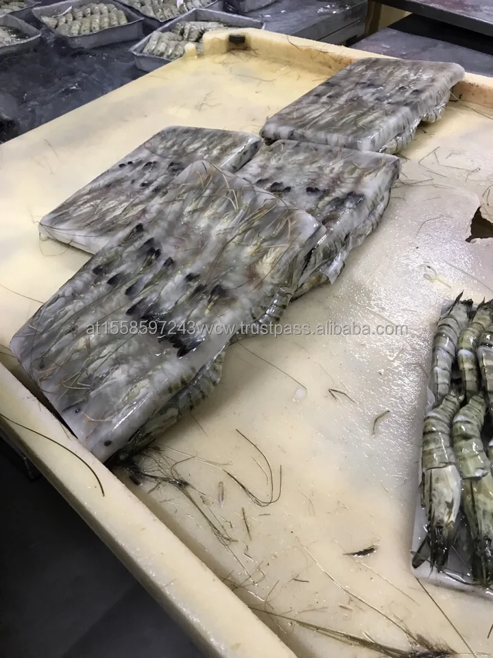 black tiger shrimp 4.jpg