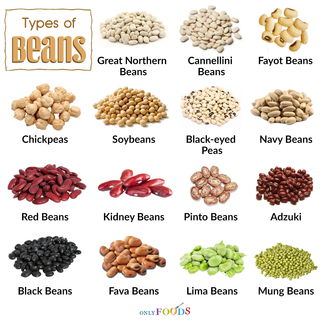 Бобы перевод на английский. Types of Beans. Бобы разновидности. Бобовые культуры. Beans Бобы.