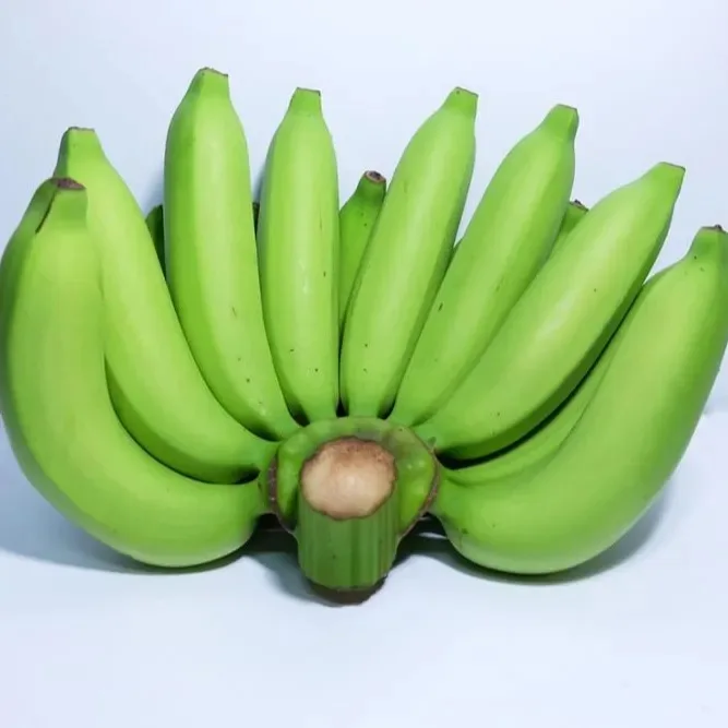 bananna fruits7.jpg