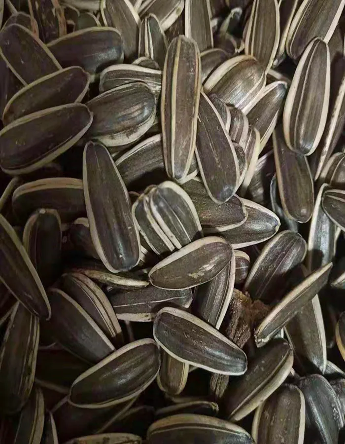 Sunflower Seeds 8.jpg